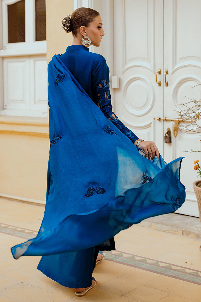 Ansab Jahangir | Luxe Pret Eid 24 | INARA - Official Ansab Jahangir stockist in UK - Sakeena London