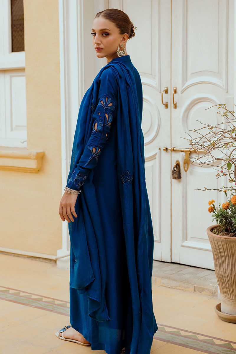 Ansab Jahangir | Luxe Pret Eid 24 | INARA - Official Ansab Jahangir stockist in UK - Sakeena London