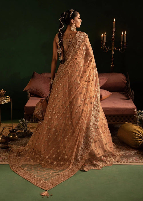 Diara Couture | Onora Wedding Festive | AYLA - WC-2-06 - Official Diara Couture stockist in UK - Sakeena London