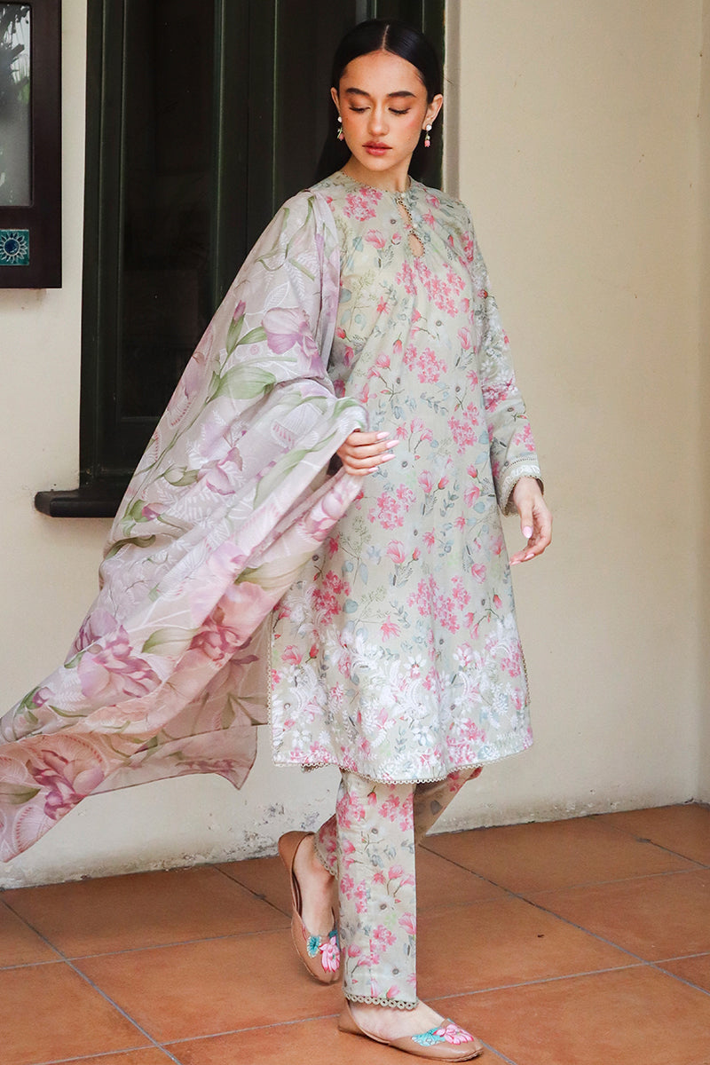 Cross Stitch | Printed Lawn | OLIVE AURA - Official Cross Stitch stockist in UK - Sakeena London