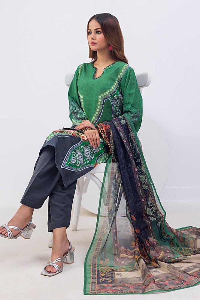 Gul Ahmed | Winter Collection 24 | Net Dupatta WRF-32011 - Official Gul Ahmed stockist in UK - Sakeena London