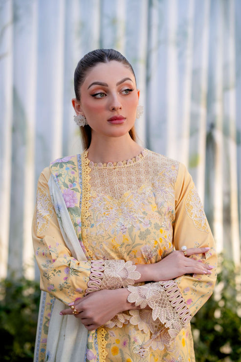 Aabyaan | Shezlin Chikankari Ramadan Edit 25 | NISA (AR-02) - Official Aabyaan stockist in UK - Sakeena London