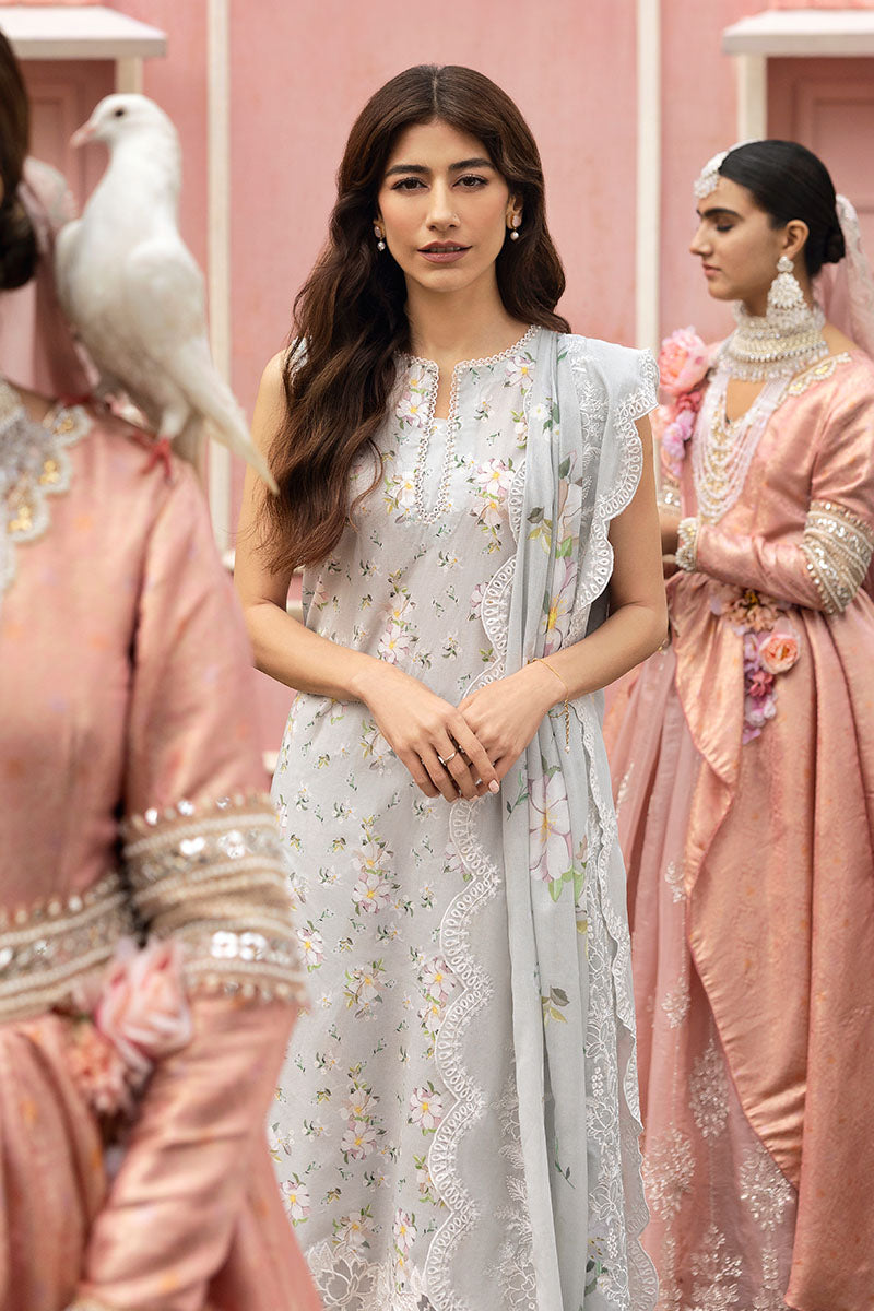 Cross Stitch | Premium Lawn 25 | GRAY FROST - Official Cross Stitch stockist in UK - Sakeena London