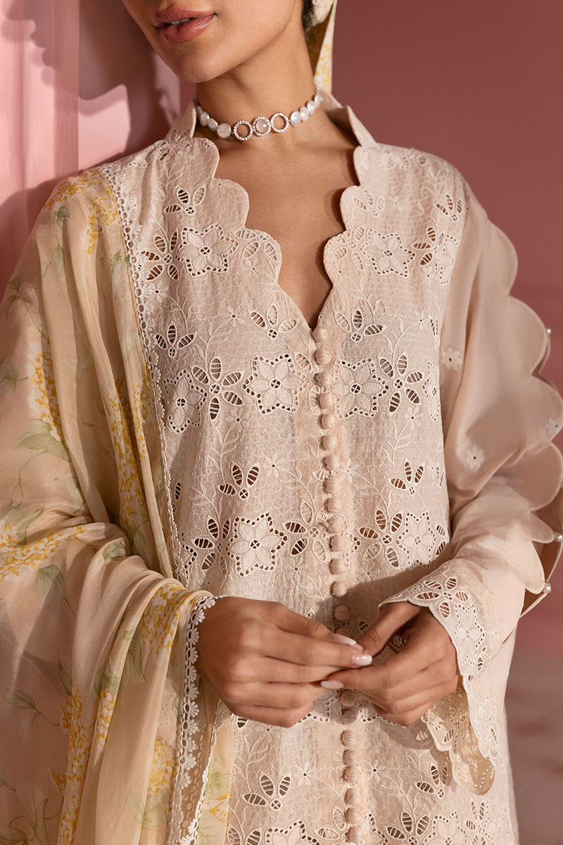 Cross Stitch | Premium Lawn 25 | PEACH PARFAIT - Official Cross Stitch stockist in UK - Sakeena London